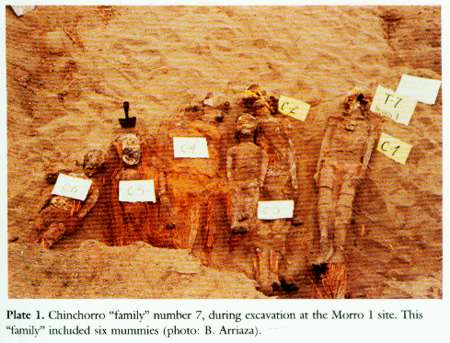 New H C Quot Beyond Death Quot Chinchorro Mummies Ancient Chile